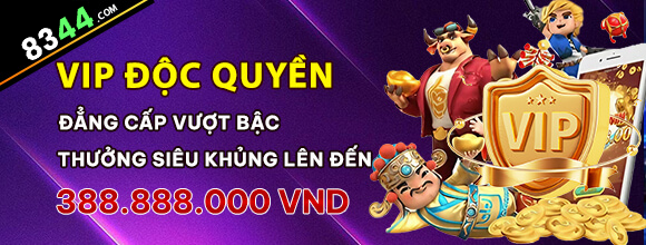 x8bet