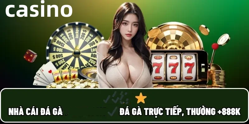 x8bet