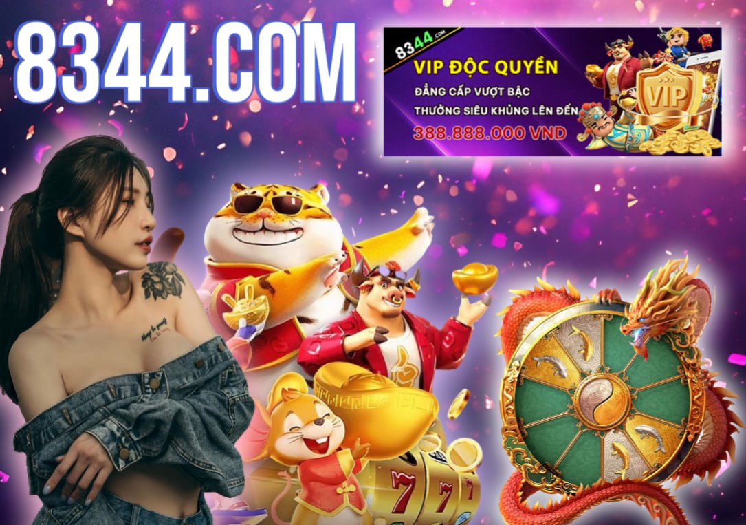 x8bet