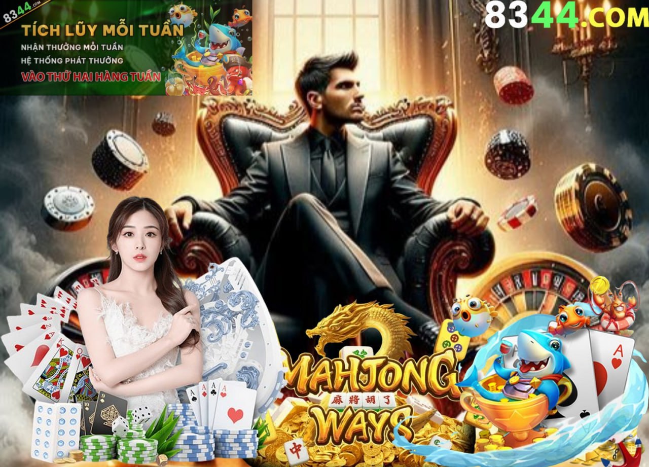 x8bet