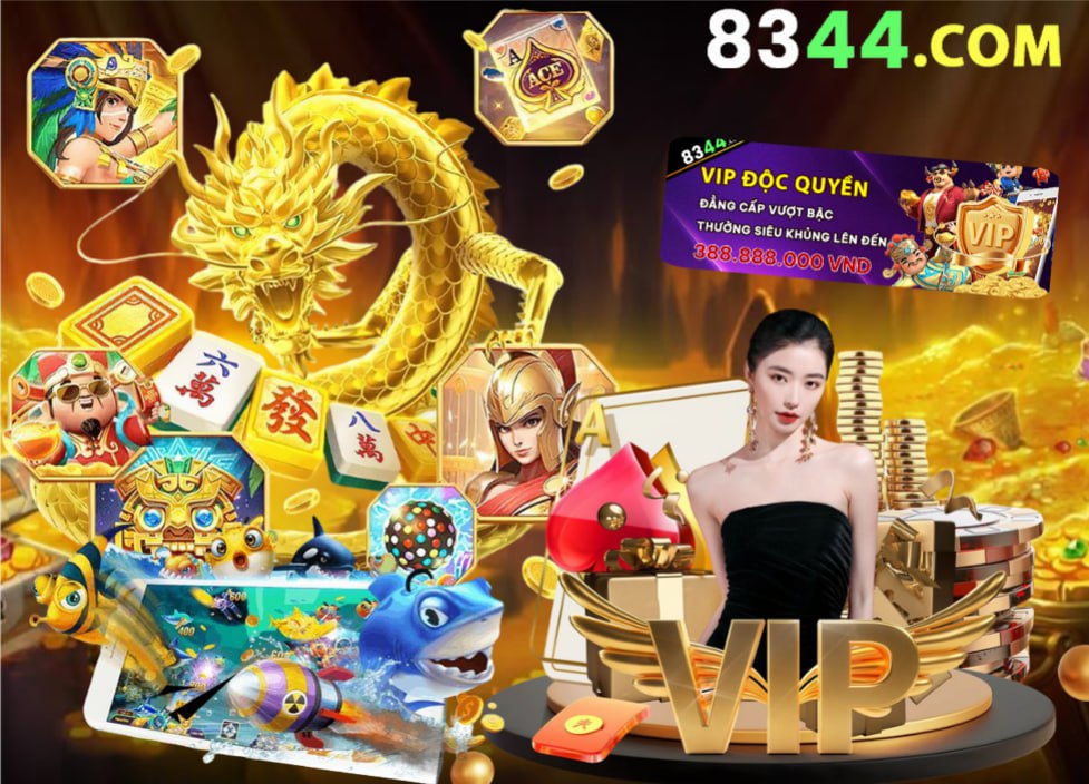 x8bet