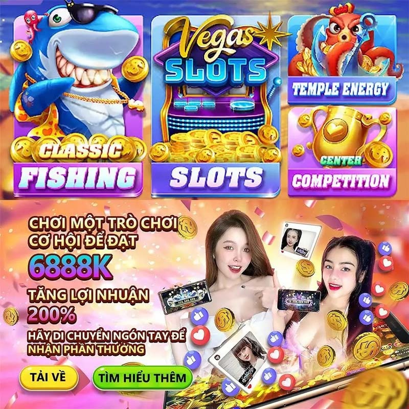 x8bet